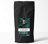 Coffee Fellows El Encanto Kaffee | ganze Kaffee Bohnen | 100% Arabica Spezialitätenkaffee | Single Origin (500g)