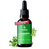 Vitabay Chlorophyll Tropfen 50mg - Vegan & Laborgeprüft - 100ml (ca. 2.600 Tropfen) Liquid Chlorophyll flüssig aus Weizengras, Alfalfa und Chlorella - Konzentrierte Chlorophyllin-Formulierung