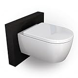 BERNSTEIN Design Wand WC spülrandlos Hänge WC Set Toilette mit abnehmbaren Deckel WC sitz mit Absenkautomatik Hängetoilette WC ohne Spülrand NT2039 Tiefspül-WC D-Form – WC randlos Standard-Deckel