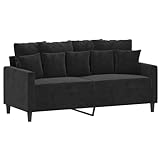 vidaXL Sofa 2-Sitzer, Loungesofa Couch mit Armlehnen Rückenkissen, Wohnzimmersofa Designsofa Metallgestell, Sitzmöbel Zweisitzer, Schwarz Samt