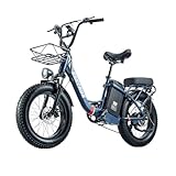 BURCHDA E Bike elektrofahrräder Herren Damen, Ebike 48V 31.5Ah(1512Wh) Akku bis 180km, 20x4 Zoll Electric Bike 7-Gang Getriebe mit LCD-Display, E Fahrrad 250W Motor 70 N.m 25km/h, U8 (U8 Blau)