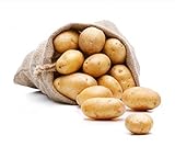 FRUCHTVERSAND24® Speisekartoffeln Glorietta 5kg | sehr festkochend & gelbfleischig | Ideal für Back- & Bratkartoffeln, Kartoffelsalat | fein und aromatisch, tiefgelbe Fleischfarbe