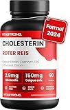 CHOLESTERIN - Nahrungsergänzungsmittel - Roter Reis, Caigua, γ-Oryzanol, Policosanol, Coenzym Q10 und Chrom - 90 Tabletten - Qualität Vitastrong