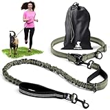 Joggingleine für Hunde zum Laufen, Joggen, Wandern | 2 in 1 Joggingleine und Normale Hundeleine für Große und Mittelgroße Hunde mit Doppelgriff | Bauchgurt Hundeleine