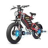 RZOGUWEX Elektrofahrrad, 20 Zoll 160NM Doppelmotor-Offroad-EBIKE für Erwachsene mit abnehmbarem 48V 30AH Lithium-Ionen-Akku, doppelte hydraulische Scheibenbremse
