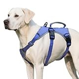 Huntboo sicherheitsgeschirr Hund Ausbruchsicher, Panikgeschirr für Hunde, Reflektierendes Geschirr mit Griff, Verstellbare Hundegeschirr für Mittlegroße Große Hunde zum Training Laufen (Lila, XL)