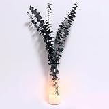 Getrockneter Eukalyptus in Glasvase mit künstlichen Kristallen, 43,2 cm, echte Eukalyptus-Stiele, 100 % aus frischen Eukalyptuspflanzen, Blättern für Hochzeit, Zuhause, Bauernhaus, DIY