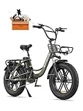 ENGWE E Bike Herren Elektrofahrräder-Ebike mit 48V 13Ah Batterie, E Bike 20 * 4.0 Zoll, E-Bike 7-Gang Getriebe mit LCD-Display, E Bike 250W Motor & 25km/h, Reichweite bis zu 150km L20/L20 Boost