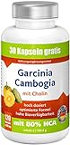 Garcinia Cambogia mit 80% HCA,1890mg Garcinia,120 vegane Kapseln: Premium ANGEBOT!!bestes Preis-Leistungsverhältnis,extrem hohe Bioverfügbarkeit,hoch dosiert,rein natürlich