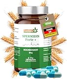 Spermidin Forte+ - natürliches Spermidin aus Weizenkeimextrakt 120 Kapseln hochdosiert mit 3mg pro Kapsel Vegan aus Deutschland Canitat M