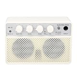 Irfora 10W Tragbarer Wiederaufladbarer Bassverstärker, Elektroverstärker mit Dual Channel, BT-Lautsprecher mit Aux-Input, Ideal für Auftritte bei der Go-Go, Einfach zu Tragen