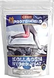 PROTEINHELD Kollagen-Hydrolysat - Collagen Pulver (Natural) 1000g Standbeutel