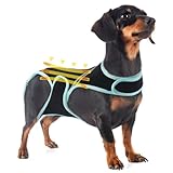 Hunderückenstütze für Hunde Arthritis, Rückenstütze Rückenbandage Dackel, Corgis IVDD, Rückenprotektor Hilft Schmerzlinderung, Chirurgische Erholung&Rehabilitation, Rückenerkrankungen Prävention(S)