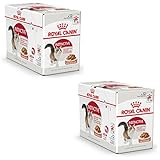 Royal Canin Instinctive Gravy | Doppelpack | 2 x 12 x 85 g | Nassfutter für ausgewachsene Katzen | Kleine Stückchen in Soße | Zur Unterstützung eines gesundes Lebensstils