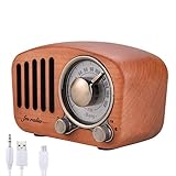 Qoosea Handgemacht Walnußholz Tragbar Bluetooth Lautsprecher Bluetooth 4.2 Drahtloser Lautsprecher mit Radio FM Natur Holz Bluetooth Lautsprechers mit Bass und Subwoofer