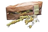 ARISTOS Griechischer BIO Bergtee Sideritis Scardica aus Griechischem Eisenkraut – 2x 25 g 100 % Griechischer Kräutertee mit Stiel zur Entspannung und Beruhigung
