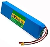 36V 9Ah Elektrofahrrad-Roller-Akku, 36 V Li-Ionen-E-Bike-Akku Elektroroller-Akku Für 200 W 350 W 500 W 750 W Mit Eingebautem BMS-Ladegerät XT60+DC