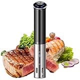 Sous Vide, Wancle Sous Vide Garer Sous Vide Stick 1100W Präzise Temperaturregelung, IPX7 Wasserdicht, Kompaktes Design, Einfache Bedienung