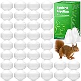 36 Pack Ultra Leistungsstarke Eichhörnchen Abwehr für Outdoor Garten - Pfefferminzöl für Eichhörnchen, Streifenhörnchenabwehr, Maulwurfschreck, Nagetierabwehr, Pflanzen sicher