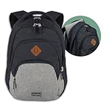 travelite Handgepäck Rucksack, Laptop Rucksack 15,6 Zoll, BASICS, Daypack, Tagesrucksack mit vielen Fächern, 45 cm, 22 Liter