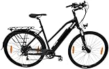 Elektrofahrrad X9 E-Bike City Bike 250 Watt 25 km/h 29 Zoll herausnehmbarer Li-Akku Unisex