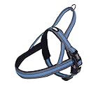 Nobby Norwegergeschirr Variado, hellblau B: 25/35mm, L: 46cm + 60-76 cm, 1 Stück