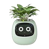 Masdio Smart Flowerpots, with Artificial Intelligence, Time Temperature Display, and Numerous Expressive Animations Based On The Environment, for Interior Decoration (Green)