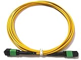 Elfcam® - 50 m Glasfaserkabel, 12 Fasern, MPO/APC Buchse auf MPO/APC Buchse, Polarität Typ B, OS2-Monomode, für 40G QSFP+, 100G QSFP28, 50 Meter