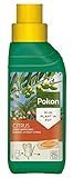 Pokon Zitrus- und Mediterraner Pflanzendünger, Spezial Flüssigdünger, für alle Zitrus Pflanzenarten in Töpfen, 250 ml