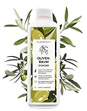 Silberkraft Oliven Dünger, natürlicher Bio Flüssigdünger für alle Arten von Olivenbäumen - kräftige Ölbäume - Made in Germany - Flasche aus recyceltem Plastik - gegen Nährstoffmangel (1 Liter)