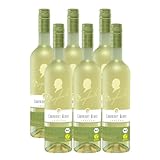 Maybach Bio Cabernet Blanc trocken Vegan (6 x 0,75l)