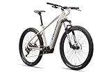 HEAD Unisex - Adult Lagos Spin Electric Mountain Bike, Light Grey/Grey, 46