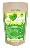 Cissus Osteo Plus 240 Kapseln mit Cissus quadrangularis Extrakt und weiteren pflanzlichen Helfern
