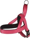NORWEGISCHES Geschirr Abbi KIRSCHROT XS 35-42CM 20MM