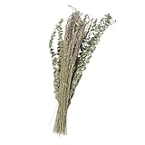 Vaguelly 1 Satz Eukalyptus Lavendel Bouquet Getrocknete Eukalyptusstängel Strauß Natürlich Kranz Trockenblumen Zum Basteln Getrocknetes Lavendelbündel Getrockneter Lavendel
