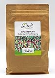 Inkarnatklee 1 Kg Samen - Bodenkur