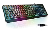 KLIM Chroma Gaming Tastatur QWERTZ DEUTSCH mit Kabel USB - NEU - Langlebig, Ergonomisch, Wasserdicht, Leise Tasten - RGB Gamer Tastatur für PC Mac Xbox One X PS4 - Schwarz