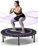 BCAN 101,6 cm großes Fitness-Trampolin für Erwachsene mit robusten Bungees, Stabiler und leiser Übungsrückprall, tolles Mini-Trampolin für Indoor/Garten-Workout, Lila