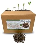 GreenPanda Bio Schafwollpellets Dünger - 4kg Organischer Langzeitdünger - Schafwolle Dünger für Garten, Haus & Zimmerpflanzen mit KALI-BOOST (4kg)