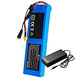 SZAJOR 18650 Lithium-Akku, 36 V, 12 Ah, E-Bike-Akku für 250 W bis 600 W Motor, Elektroroller-Akku mit Ladegerät