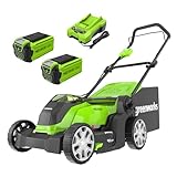 Greenworks 40V Kabelloser Akku Rasenmäher für Flächen bis zu 500 m², 41 cm Schnittbreite, 50-Liter-Sack PLUS zwei 40 V 2Ah-Akkus mit Ladegerät, 3 Jahre Garantie-G40LM41K2X
