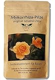 Mykorrhiza-Pilz Konzentrat für Rosen - original Schüßler-Pilze, bekannt aus Funk und Fernsehen, zur Verbesserung von Pflanzenwachstum und -Gesundheit