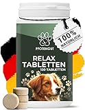 PFOTENGUT® Relax Tabletten 120 Stück [Made in Germany] - Hunde Beruhigungsmittel mit Taigawurzel, Baldrian & Hanfpulver - Natürliches Beruhigungsmittel für Hunde - Verbesserte Version 2023