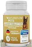 Gelenktabletten - TESTSIEGER Made in Germany für Hunde mit Grünlippmuschel, MSM und Teufelskralle - Keine Kapseln, hohe Akzeptanz beim Hund - 100 Stück für bis zu 6 Monate