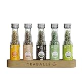 TEABALLS BIO - 5er Set SUPER FIT MIT PAM - INGWER KURKUMA ORANGE, CHAI LATTE, CHOCO CHAI, SENCHA, ROTHENBERGER KRÄUTERMIXfür ca. 200 Tassen Tee