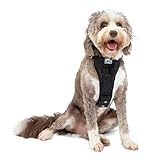 Kurgo Tru-Fit Hundegeschirr, Crash-Test-erprobtes Auto-Sicherheitsgurt, Für Hunde von 23 bis 36 kg, Größe L, Schwarz