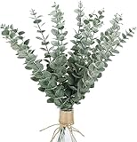 20 Stück Simulation Eukalyptus Deko, Simulation Trockenblumen Eukalyptus Zweige für Hochzeit & Heim Dekoration