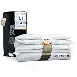BEFA NATUR Made in Germany Daunendecke 240x220 cm aus 90% Daunen und 10% Federn, Ganzjahresdecke, Allergiker geeignet, Öko-Tex 100 Klasse 1 Zertifiziert, EN Standart 12934, Downpass