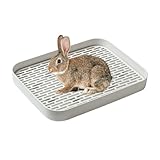 Hasen-Katzentoilette, Häschen-Töpfchen-Box | Quadratischer Käfig-Töpfchentrainer | Haustier-Toiletten-Häschenbox, Katzentoilette für ausgewachsene Meerschweinchen, Hamster, Kleintiere