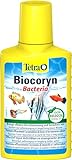 Tetra Biocoryn - Wasseraufbereitungsmittel zum biologischen Abbau von Schadstoffen, beugt Verschlammung & Gerüchen im Aquarium vor, 100 ml